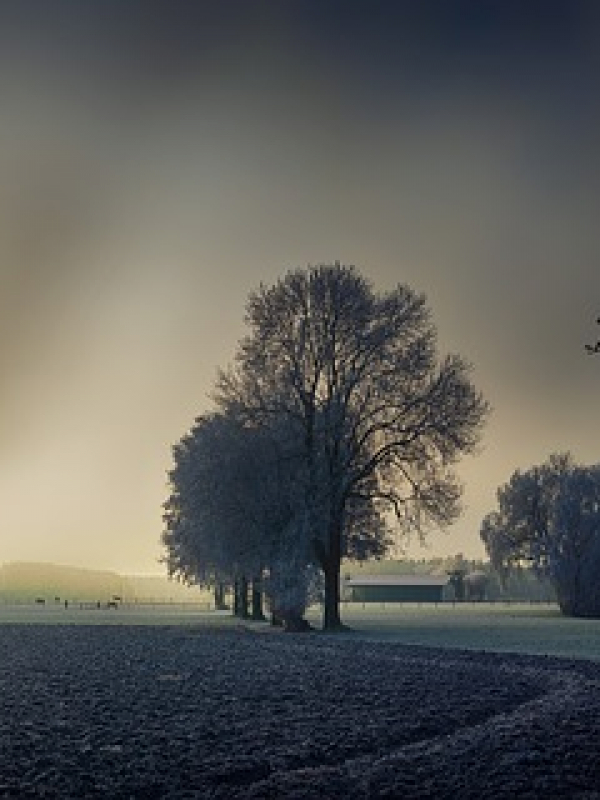 It is Winter